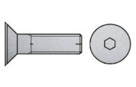 Billede af Undersænket Insexskrue ISO 10642 Rustfri-Syrefast A4 M16x140 (1 Stk)