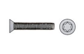 Billede af Undersænket Maskinskrue DIN 965 Rustfri-Syrefast A4 Med ISR Torx M2x10-T6 (2000 Stk)