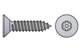 Billede af Sikkerhedspladeskrue M/Undersænket 1-vejs Torx (DIN 7982) Rustfri A2 4,2x50 (100 Stk)