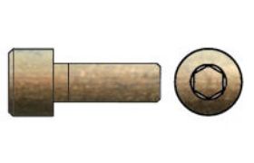 Billede af Cylinderhovedet Insexskrue ISO 4762 Gulforzinket (A3C) Stål Kl. 8.8 M16x130 (25 Stk)
