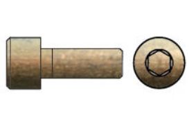 Billede af Cylinderhovedet Bolt M/Indvendig Sekskant DIN 912 Gulforzinket (A3C) Stål Kl. 8.8 M6x16 (500 Stk)