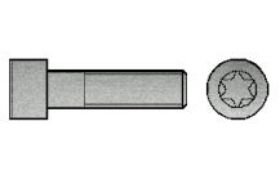 Billede af Cylinderhovedet Bolt M/Torx ISO 14579 Elforzinket Stål Kl. 8.8 M6x16 (200 Stk)