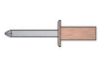 Billede af Lukket Blindnitte (Luft og Vandtæt) Kobber / Rustfri A2 Type CAP-F 3,2x6 (500 Stk)