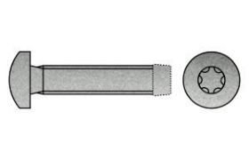 Billede af Gevindformende Skrue Med Panhovedet Torx DIN 7500 Type CE Elforzinket Hærdet Stål M5x16-T25 (1000 Stk)