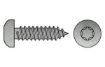 Billede af Panhovedet Pladeskrue M/Torx Og Spids Ende DIN 7981 Elforzinket Hærdet Stål Type C-ISR 3,5x13-T15 (1000 Stk)