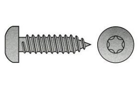 Billede af Panhovedet Pladeskrue M/Torx Og Spids Ende DIN 7981 Elforzinket Hærdet Stål Type C-ISR 4,2x50-T20 (500 Stk)