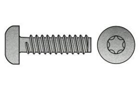 Billede af Pladeskrue M/Torx Panhoved Og Flad Ende ISO 14585 Elforzinket Hærdet Stål 3,9x22-T15 (500 Stk)