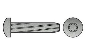 Billede af Gevindskærende Skrue M/Panhovedet Torx DIN 7516 Elforzinket Hærdet Stål Type AE-ISR M4x16-T20 (2000 Stk)