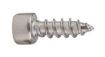 Billede af Cylinderhovedet Insexskruepladeskrue M/Spids Hoved, Rustfri A2 ~HV 250 4,8x16 (1000 Stk)