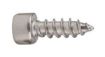 Billede af Cylinderhovedet Insexskruepladeskrue M/Spids Hoved, Rustfri A2 ~HV 250 5,5x32 (200 Stk)