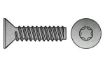 Billede af Pladeskrue M/Undersænket Torxhoved Og Flad Ende ISO 14586 Elforzinket Hærdet Stål 4,8x13-T25 (500 Stk)