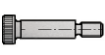 Billede af Pasbolt ISO 7379 Rustfri-Syrefast A4-80 M8x12-Ø10