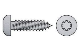 Billede af Pladeskrue M/Torx Panhoved Og Spids Ende ISO 14585 Elforzinket Hærdet Stål 2,2x9,5-C-T10 (2000 Stk)